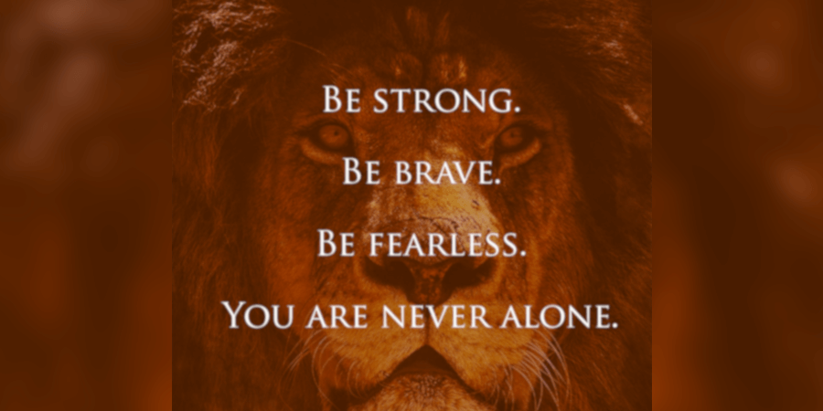 Lion testimonial